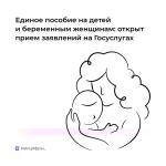 Госуслуги