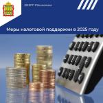 Меры налоговой поддержки в 2025 году