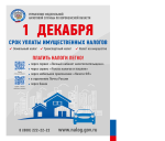 Срок уплаты имущественных налогов
