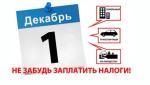 УСПЕЙТЕ УПЛАТИТЬ ИМУЩЕСТВЕННЫЕ НАЛОГИ ДО 1 ДЕКАБРЯ!